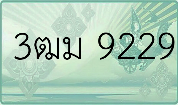 3ฒม 9229